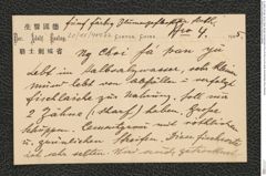 Nachlass Franz Steindachner, Brief von N. Post an Franz Steindachner (08.08.1905), Inv.Nr. 404.02, Seite 13